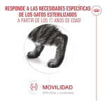 Royal Canin-Ageing Sterilised +12 Años (1)