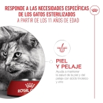 Royal Canin-Ageing Sterilised +12 Años (1)