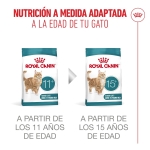 Royal Canin-Ageing Sterilised +12 Años (1)