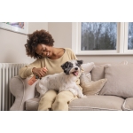 PetHead Espuma Sin Aclarado para Perros con Aroma a Melocotón