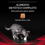 DM Control Diabetes para Gato (6)