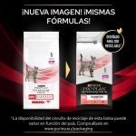 DM Control Diabetes para Gato (6)