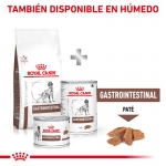 Royal Canin Veterinary Diets-Gastro Intestinal GI25 (1)