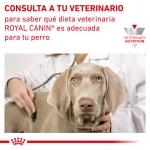 Royal Canin Veterinary Diets-Renal RF 14 (1)