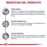 Royal Canin Veterinary Diets-Vet Care Neutered Adult Small Dog (1)