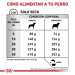 Royal Canin Veterinary Diets-Gastro Intestinal Moderate Calories GIM23 (1)