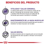 Royal Canin Veterinary Diets-Vet Care Mature Small Dog (1)