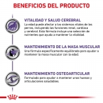 Vet Care Mature Large Dog (1)