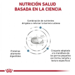 Royal Canin Veterinary Diets-Skin Care Small Dog (1)