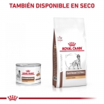 Royal Canin Veterinary Diets-Fibre Response (1)