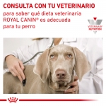 Royal Canin Veterinary Diets-Urinary S/O Small Dog (1)