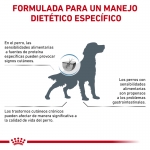Royal Canin Veterinary Diets-Anallergenic (1)