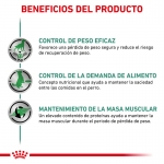 Royal Canin Veterinary Diets-Satiety Support Weight Management 410 gr. Húmedo (1)