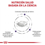 Royal Canin Veterinary Diets-Vet Care Senior Consult Stage 1 para Gato (1)