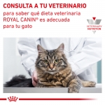 Royal Canin Veterinary Diets-Vet Care Senior Consult Stage 2 (1)