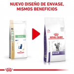 Royal Canin Veterinary Diets-Feline Dental (1)
