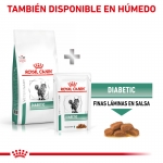 Royal Canin Veterinary Diets-Feline Diabetic (1)