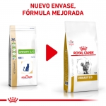 Royal Canin Veterinary Diets-Feline Urinary S/O (1)