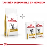 Royal Canin Veterinary Diets-Feline Urinary S/O (1)