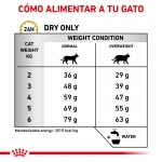 Royal Canin Veterinary Diets-Feline Urinary S/O Moderate Calories (1)