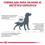 Royal Canin Veterinary Diets-Skin Care (1)