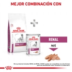 Royal Canin Veterinary Diets-Renal Select (1)