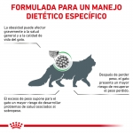 Royal Canin Veterinary Diets-Feline Satiety Support Weight Management (1)