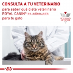 Royal Canin Veterinary Diets-Feline Satiety Support Weight Management (1)