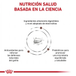 Pienso para gatitos Royal Canin Veterinary Diets Gatrointestinal Kitten