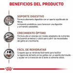Pienso para gatitos Royal Canin Veterinary Diets Gatrointestinal Kitten