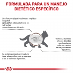 Pienso para gatitos Royal Canin Veterinary Diets Gatrointestinal Kitten