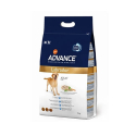 Affinity Advance-Labrador Adulto (1)