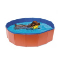Nayeco-Piscina para Perro (1)