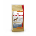 Boxer Adulto (10)
