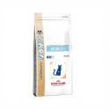 Royal Canin Veterinary Diets-Feline Mobility (1)