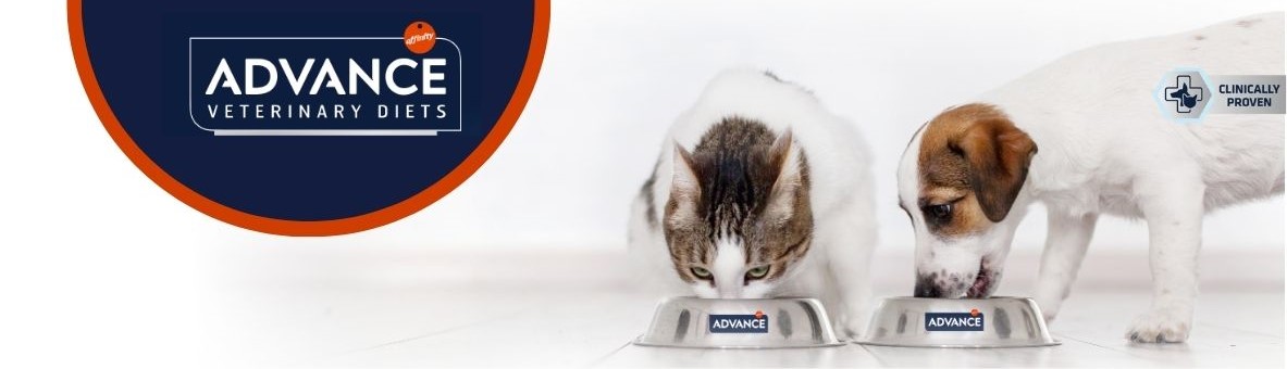 ADVANCE_BANNER_PERRO_GATO.png