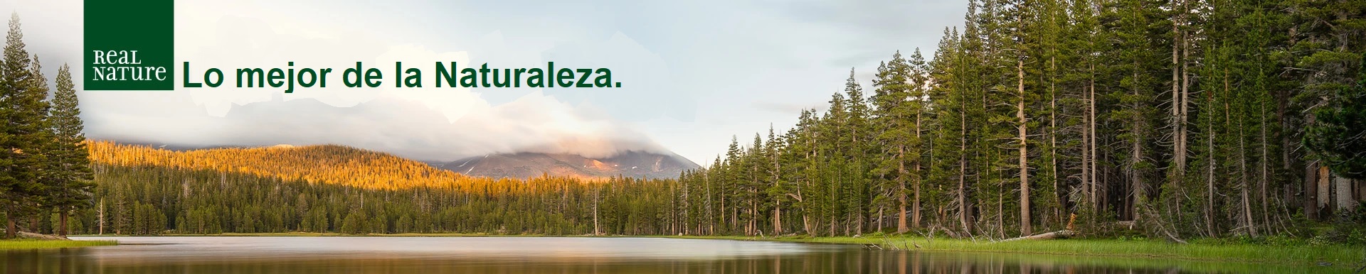 Latas Real Nature Wilderness para perros pollo y pescado