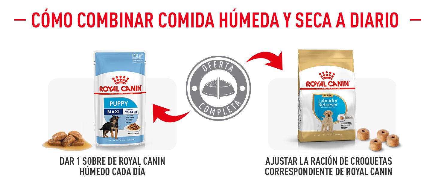 Imagen de croqueta de Maxi Adult 5+ de ROYAL CANIN®