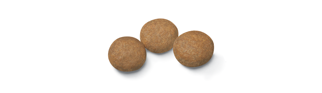 Imagen de croqueta de Maxi Adult 5+ de ROYAL CANIN®