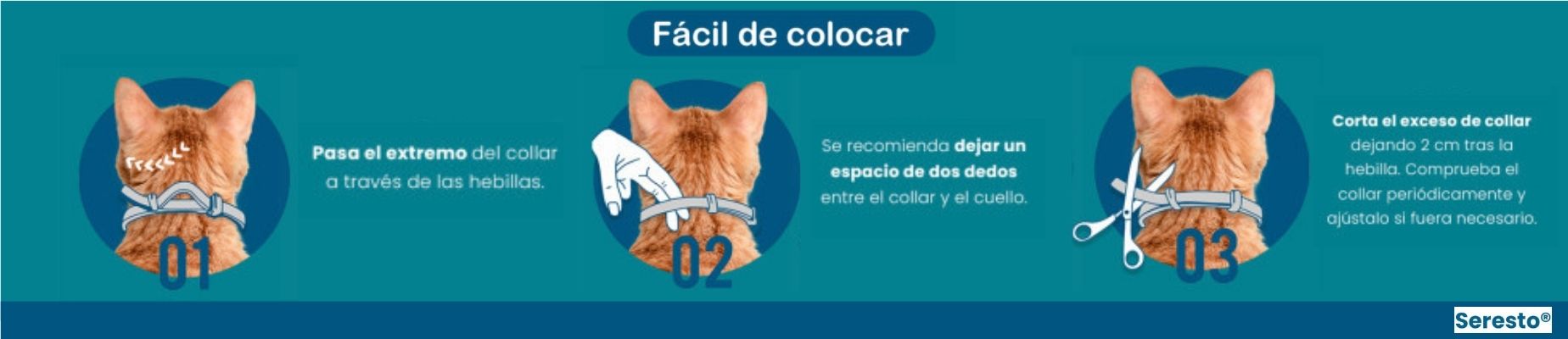 COMO_COLOCAR_SERESTO.jpg