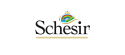 Schesir